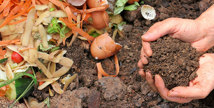 Curso Compostadores