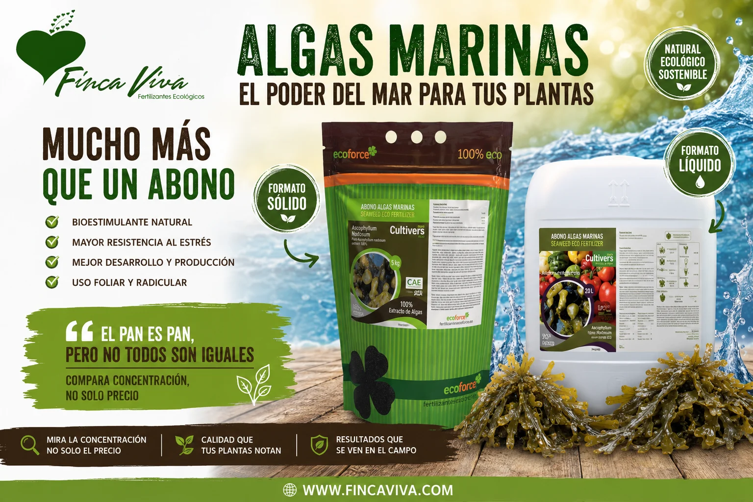 imagen articulo algas marinas Finca Viva